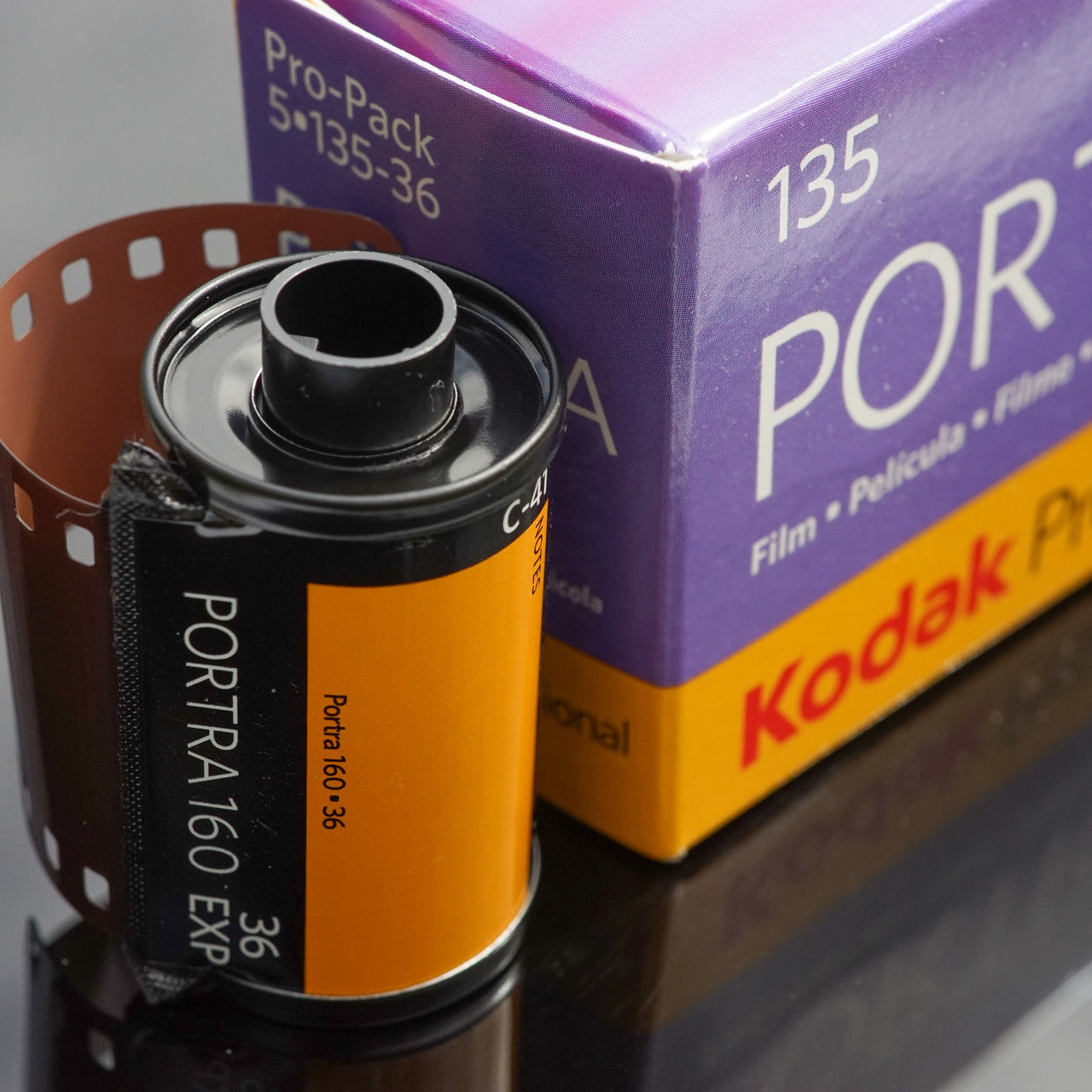 Kodak Professional Portra 160 Color Negative Film (35mm Roll Film, 36 Exposures)