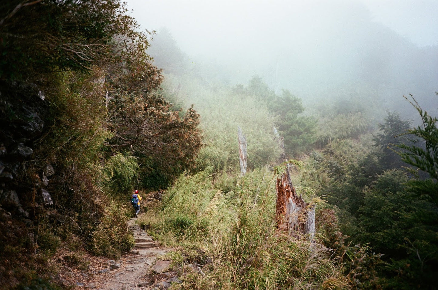 Kodak Professional Ektar 100 Color Negative Film (35mm Roll Film, 36 Exposures)