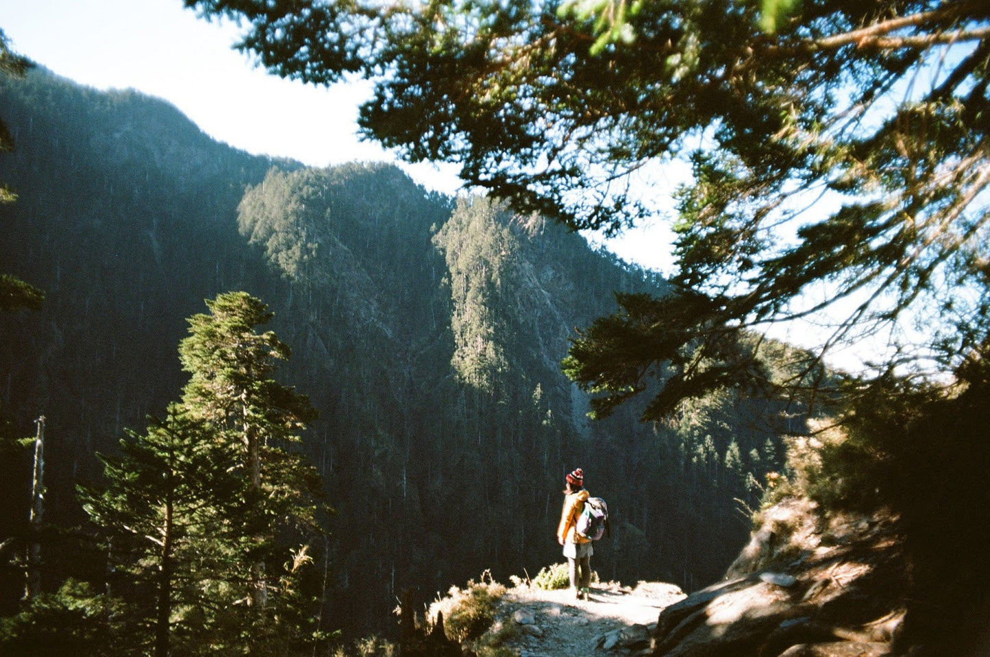 Kodak Professional Ektar 100 Color Negative Film (35mm Roll Film, 36 Exposures)