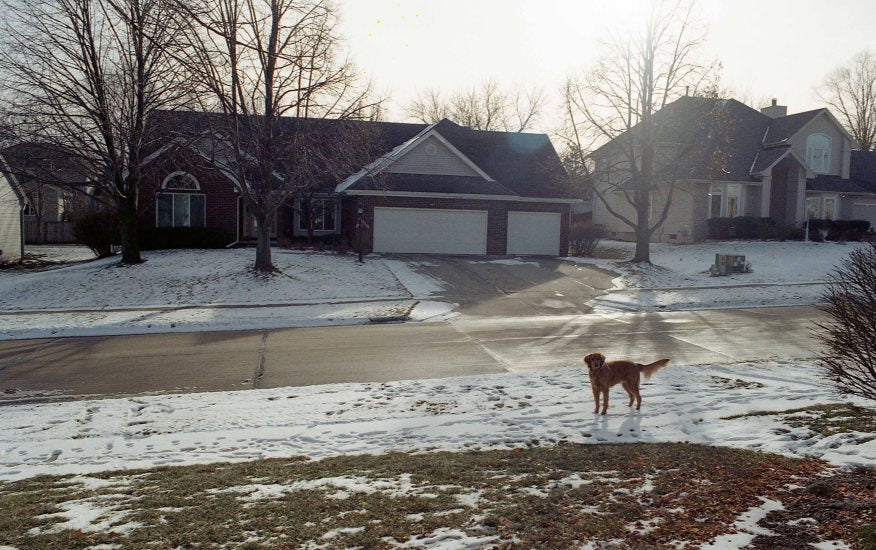 Kodak Gold 200 Color Negative Film (35mm Roll Film, 36 Exposures)