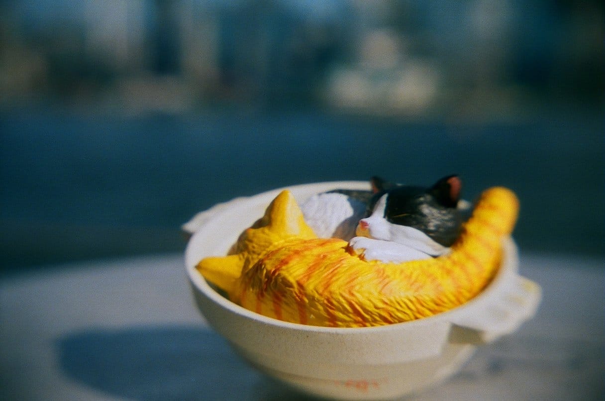Kodak UltraMax 400 Color Negative Film (35mm Roll Film, 24 Exposures)